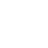 chauffeur (1)